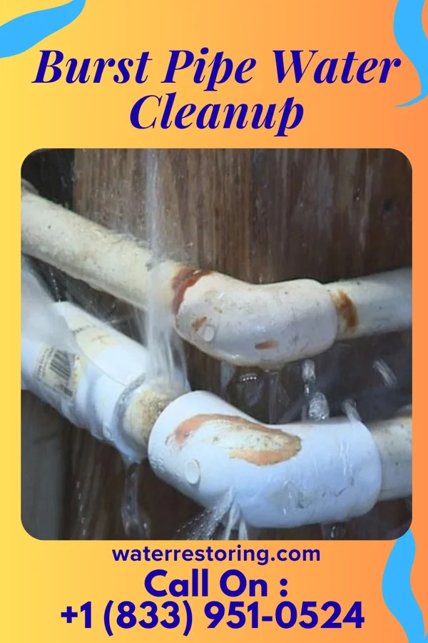 Burst Pipe Water Cleanup in Sholes, NE