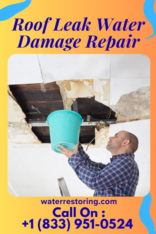Roof Leak Water Damage Repair in Sholes, NE