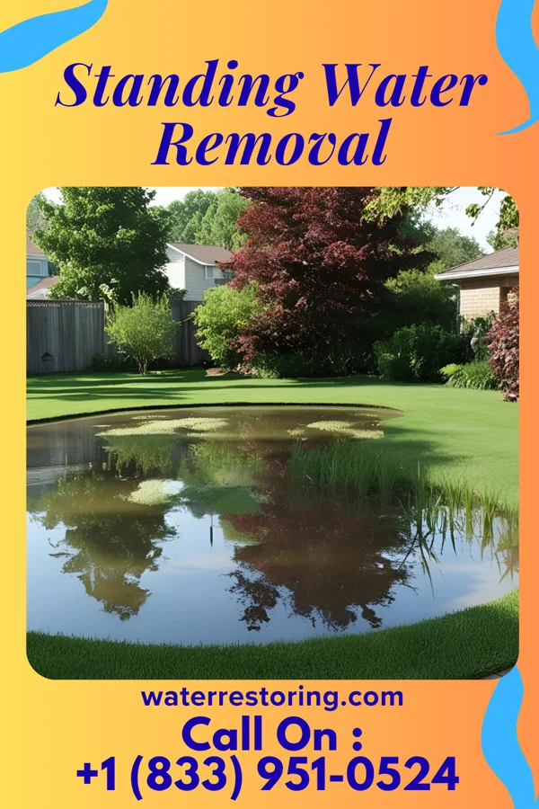 Standing Water Removal in Sholes, NE